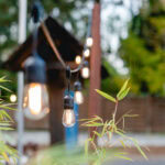 Sommerfrische BBQ am 04. Juli